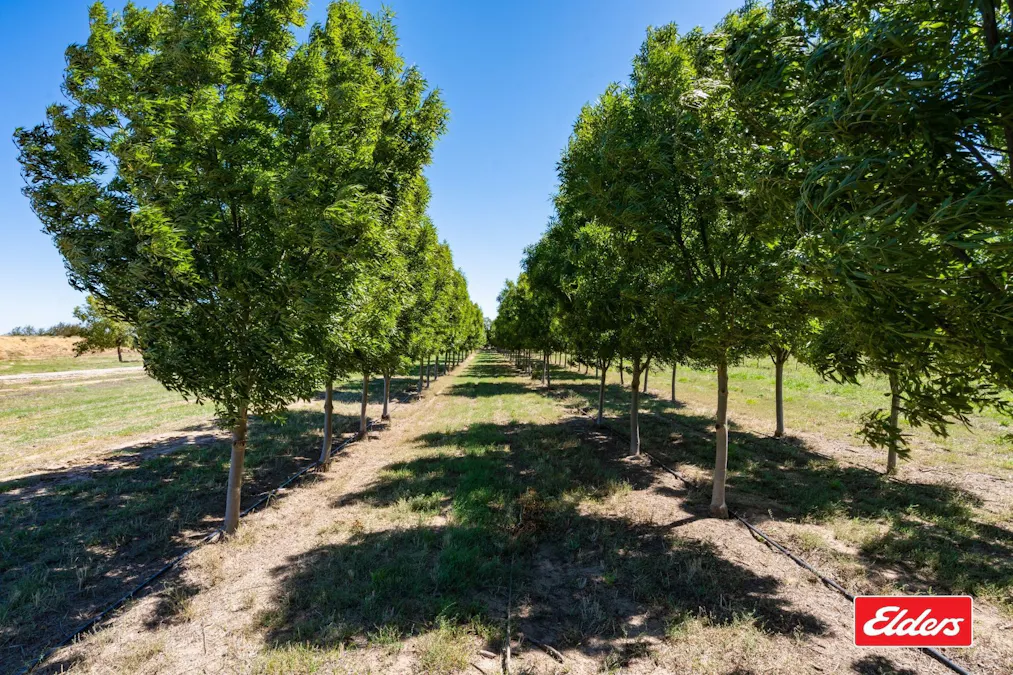 124 Farley Road, Echuca, VIC, 3564 - Image 5