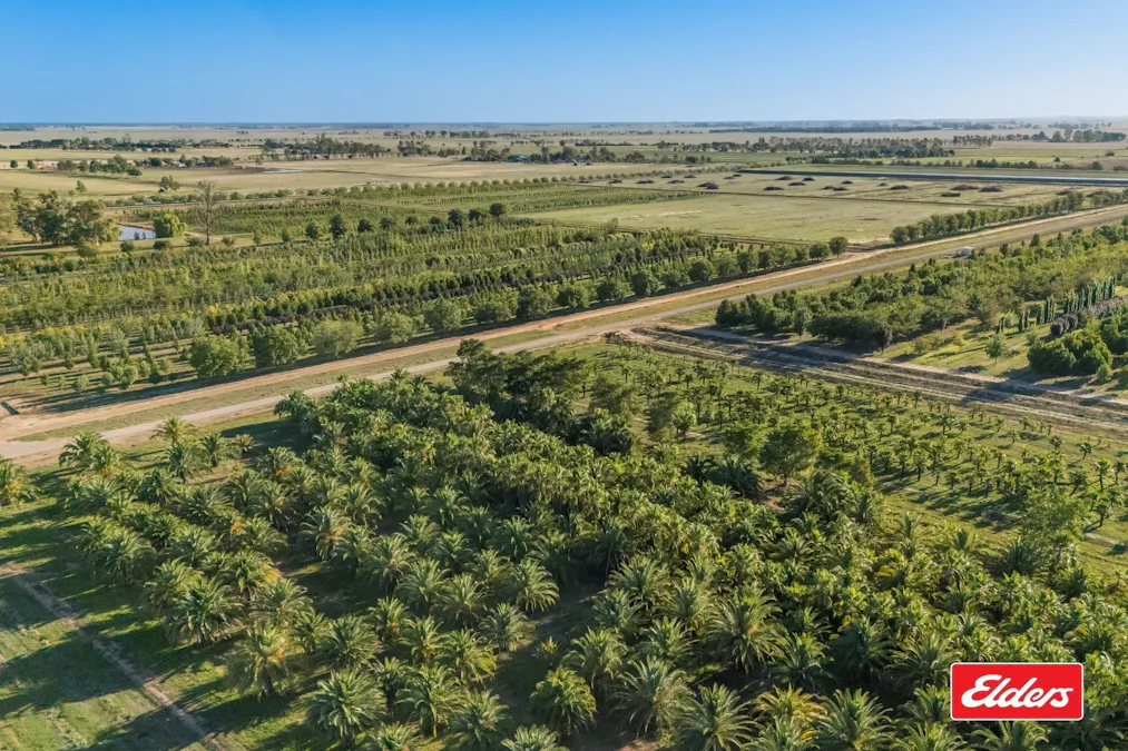 124 Farley Road, Echuca, VIC, 3564 - Image 7