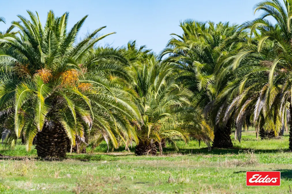 124 Farley Road, Echuca, VIC, 3564 - Image 22