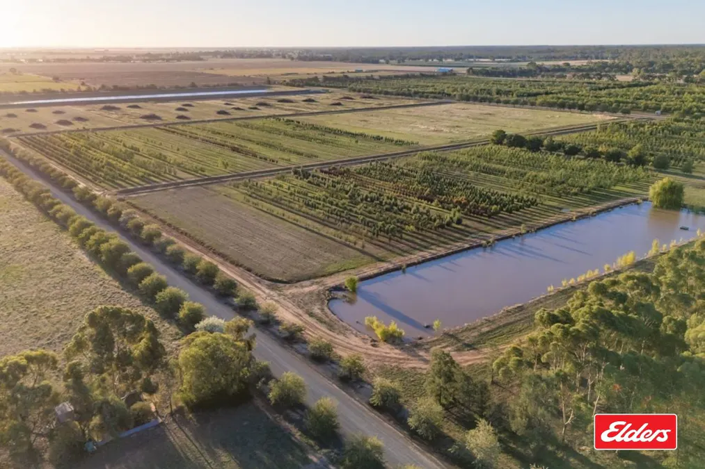 124 Farley Road, Echuca, VIC, 3564 - Image 3