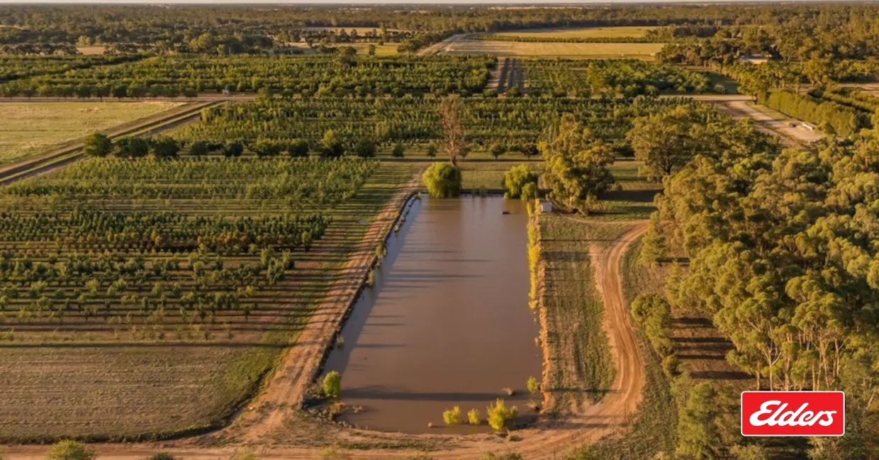 124 Farley Road, Echuca, VIC, 3564 - Image 26