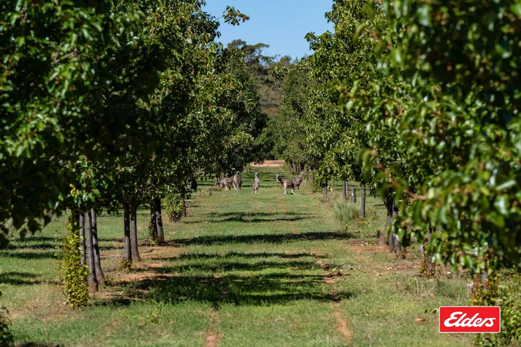 124 Farley Road, Echuca, VIC, 3564 - Image 27