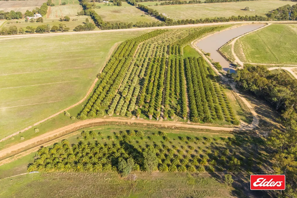 124 Farley Road, Echuca, VIC, 3564 - Image 8