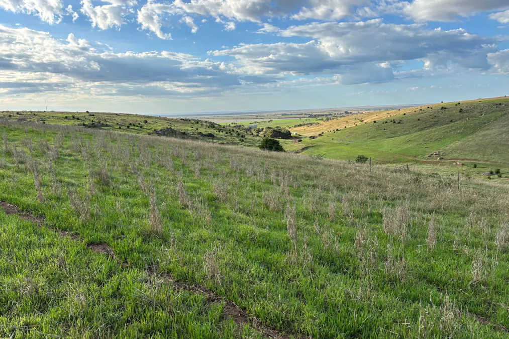 42/Harvey Well Road, Tumby Bay, SA, 5605 - Image 1