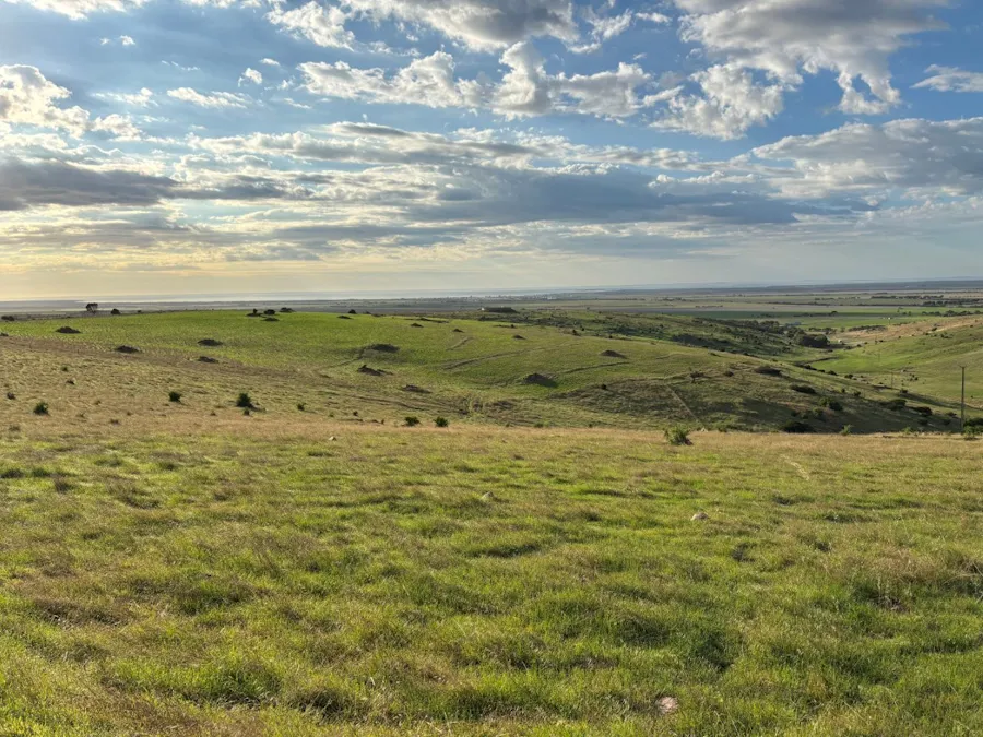 42/Harvey Well Road, Tumby Bay, SA, 5605 - Image 14