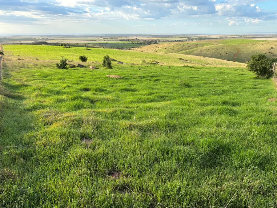 42/Harvey Well Road, Tumby Bay, SA, 5605 - Image 4