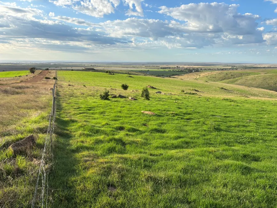 42/Harvey Well Road, Tumby Bay, SA, 5605 - Image 10