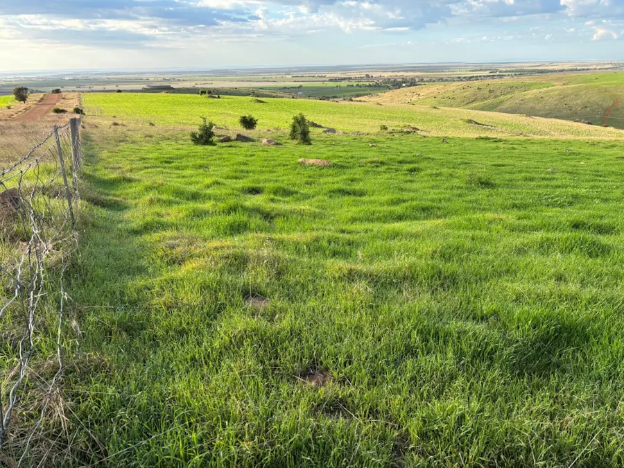 42/Harvey Well Road, Tumby Bay, SA, 5605 - Image 15