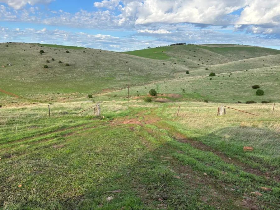 42/Harvey Well Road, Tumby Bay, SA, 5605 - Image 6