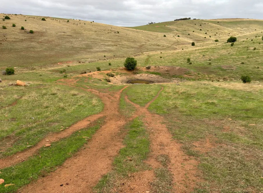 42/Harvey Well Road, Tumby Bay, SA, 5605 - Image 8