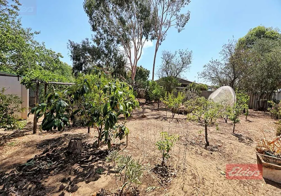 29 Homer Street, Narrogin, WA, 6312 - Image 22