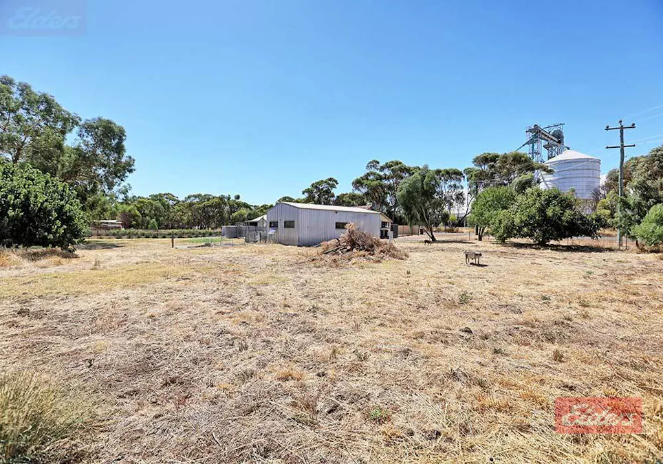 49  Richmond Street, Williams, WA, 6391 - Image 22