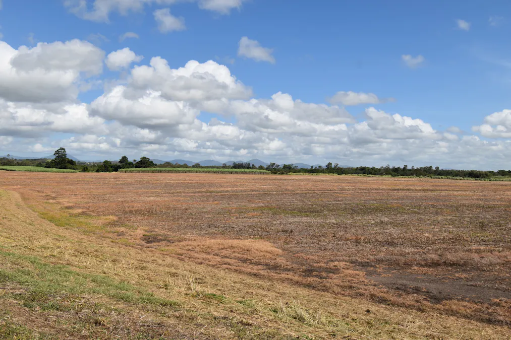 14 Magees Road, Bloomsbury, QLD, 4799 - Image 32