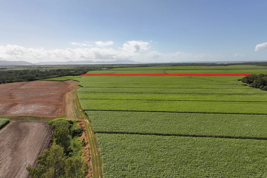 14 Magees Road, Bloomsbury, QLD, 4799 - Image 20