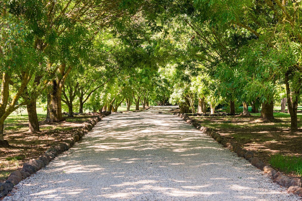 840 Back Eildon Road, Eildon, VIC, 3713 - Image 27