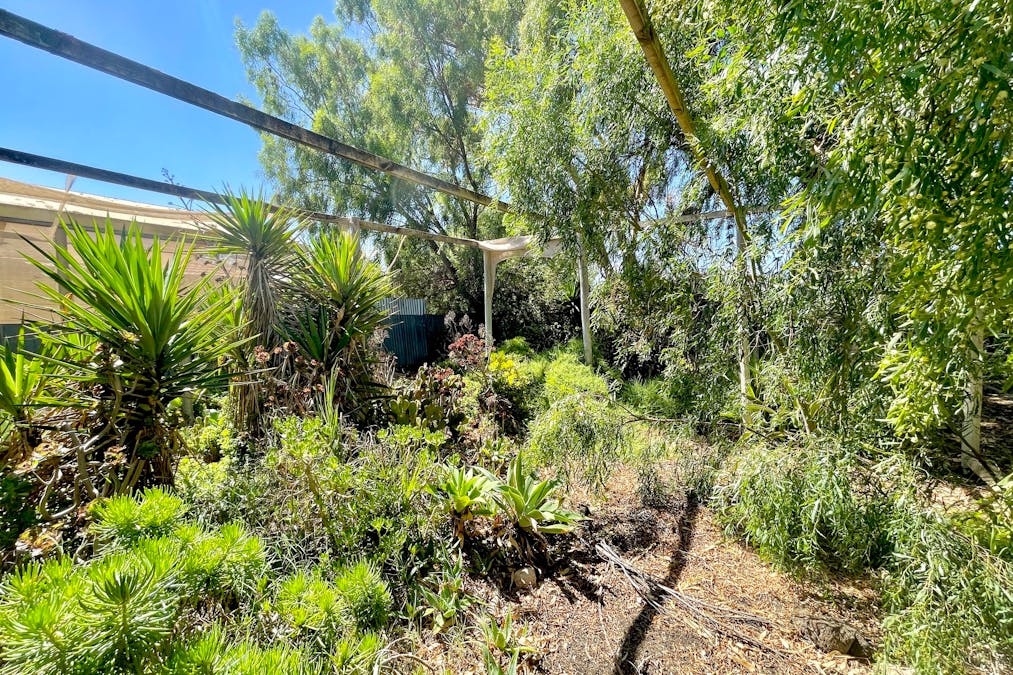 6 Kloeden Street, Ceduna, SA, 5690 - Image 4