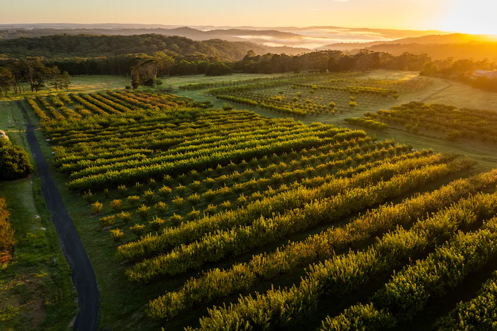 1266 George Downes Drive, Kulnura, NSW, 2250 - Image 6