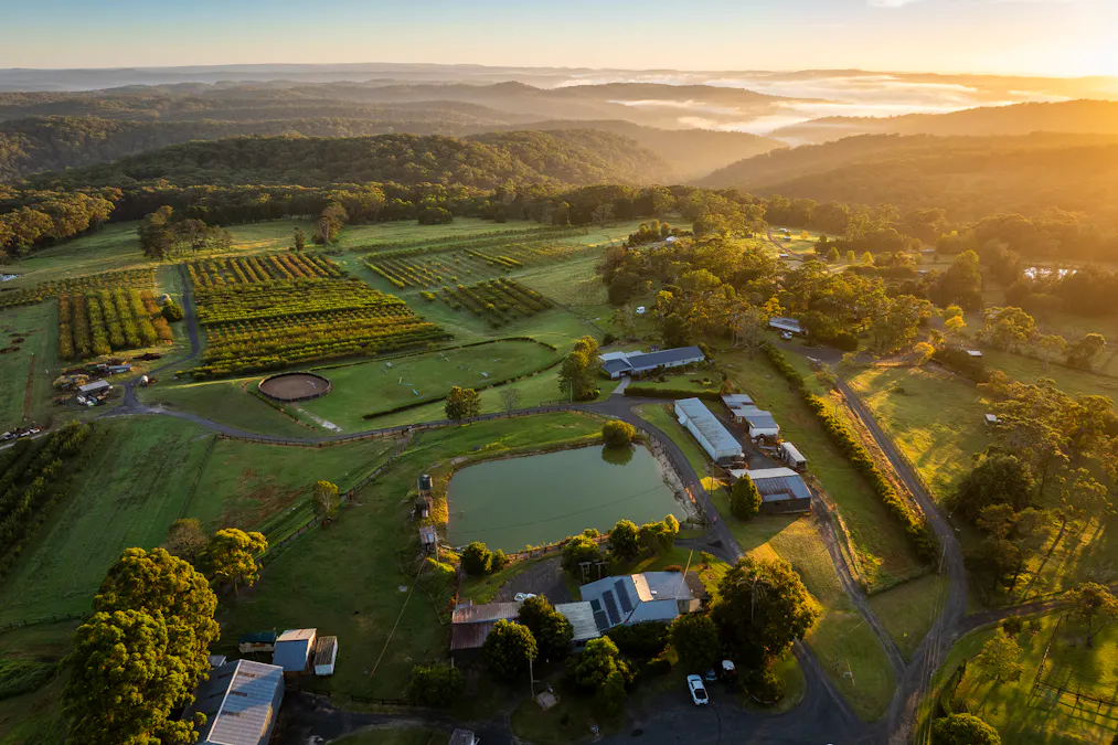 1266 George Downes Drive, Kulnura, NSW, 2250 - Image 2