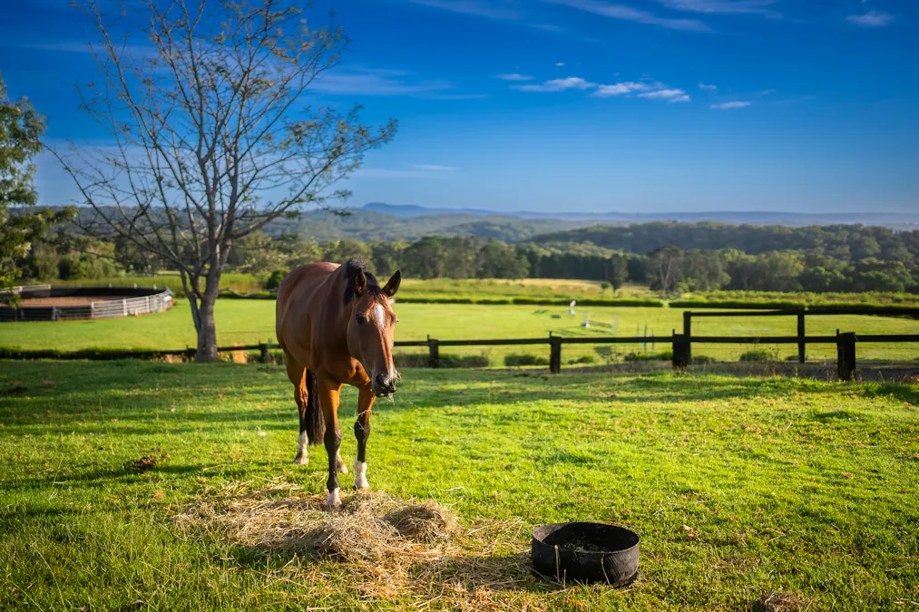 1266 George Downes Drive, Kulnura, NSW, 2250 - Image 5