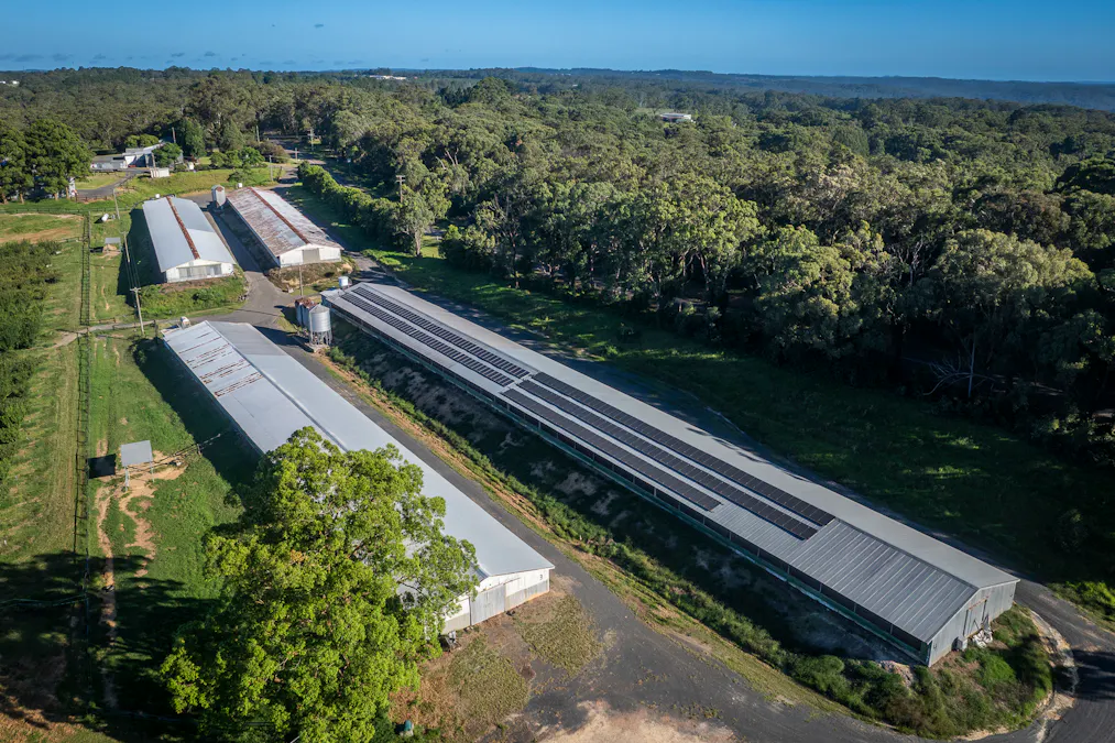 1266 George Downes Drive, Kulnura, NSW, 2250 - Image 15