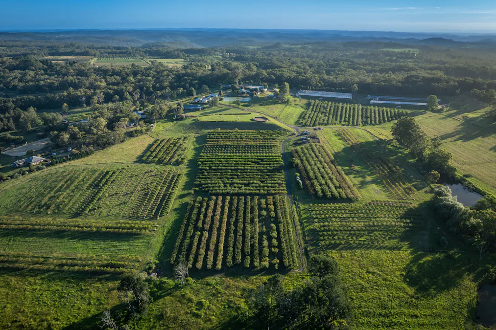 1266 George Downes Drive, Kulnura, NSW, 2250 - Image 9