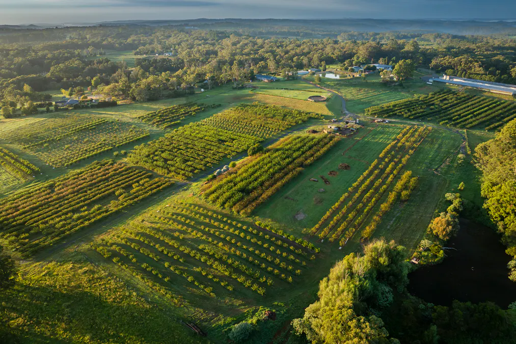 1266 George Downes Drive, Kulnura, NSW, 2250 - Image 12