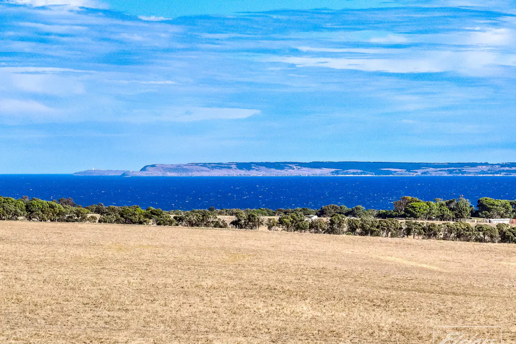 54 Sorata Street, Cape Jervis, SA, 5204 - Image 4