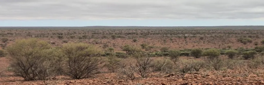 Wongawol , Wiluna, WA, 6646 - Image 5