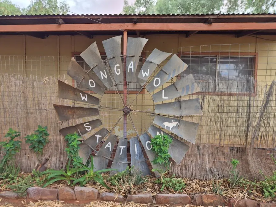 Wongawol , Wiluna, WA, 6646 - Image 29