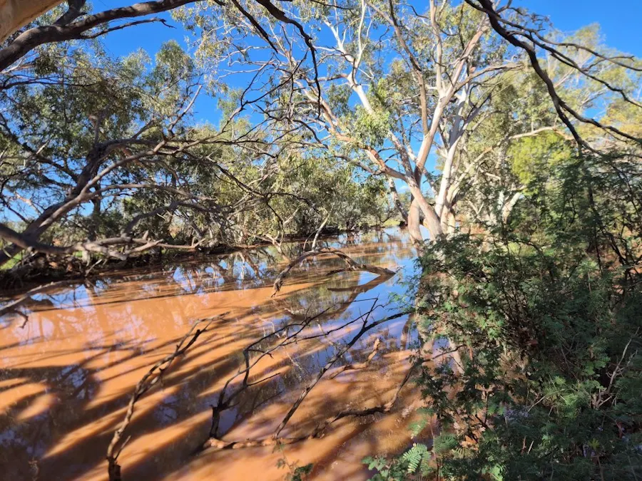 Wongawol , Wiluna, WA, 6646 - Image 13