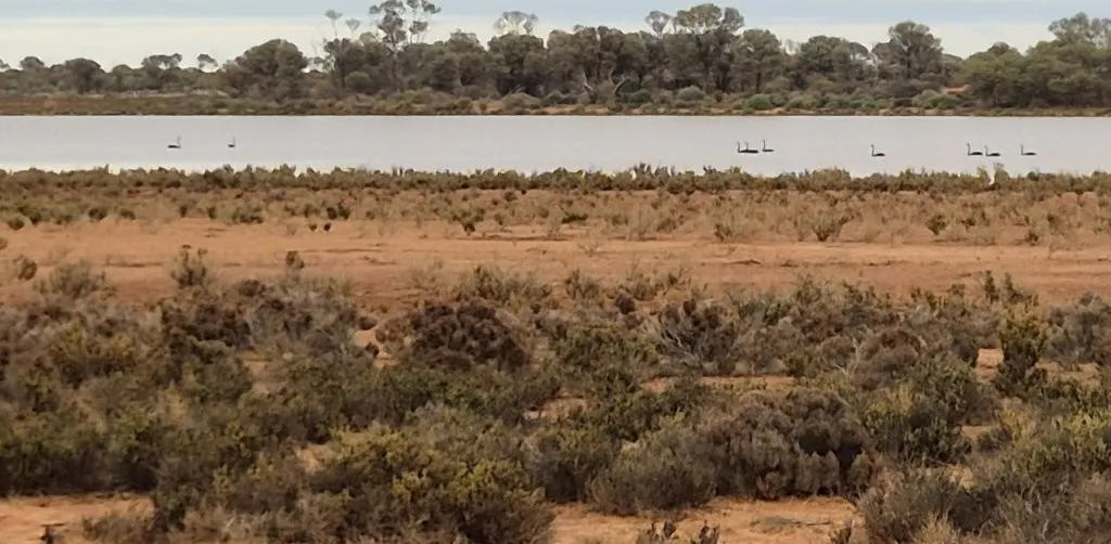 Wongawol , Wiluna, WA, 6646 - Image 15