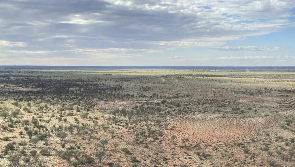 Wongawol , Wiluna, WA, 6646 - Image 6