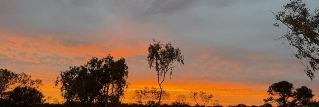 Wongawol , Wiluna, WA, 6646 - Image 26