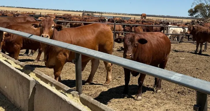 Wongawol , Wiluna, WA, 6646 - Image 1