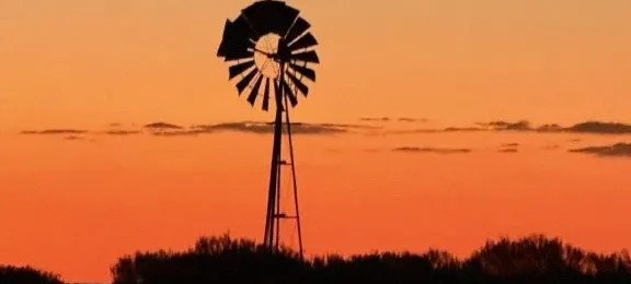 Wongawol , Wiluna, WA, 6646 - Image 28