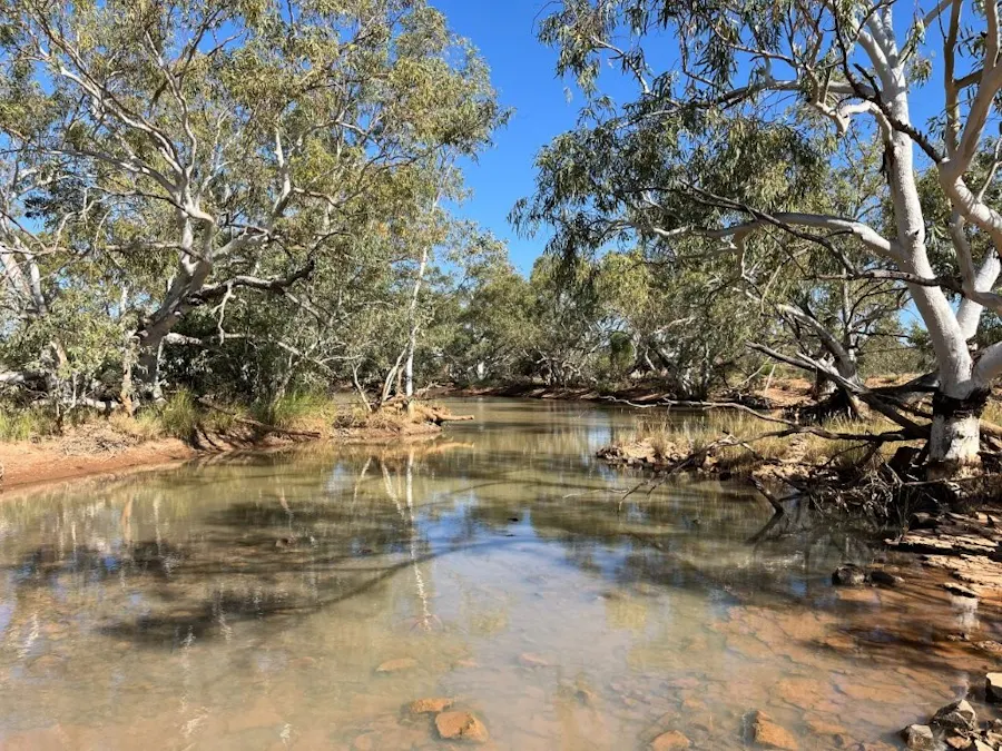 Wongawol , Wiluna, WA, 6646 - Image 30