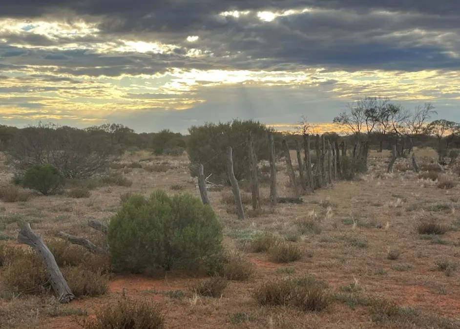 Wongawol , Wiluna, WA, 6646 - Image 32