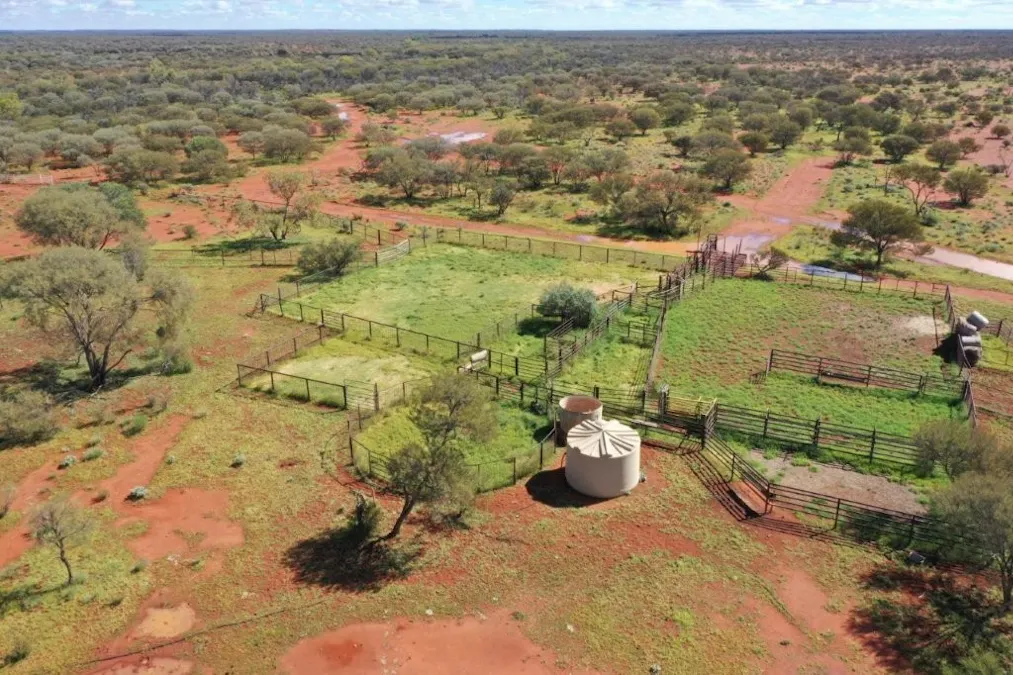 Wongawol , Wiluna, WA, 6646 - Image 7