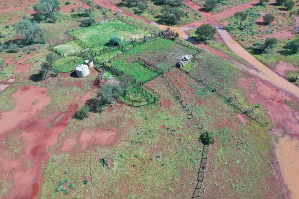 Wongawol , Wiluna, WA, 6646 - Image 10