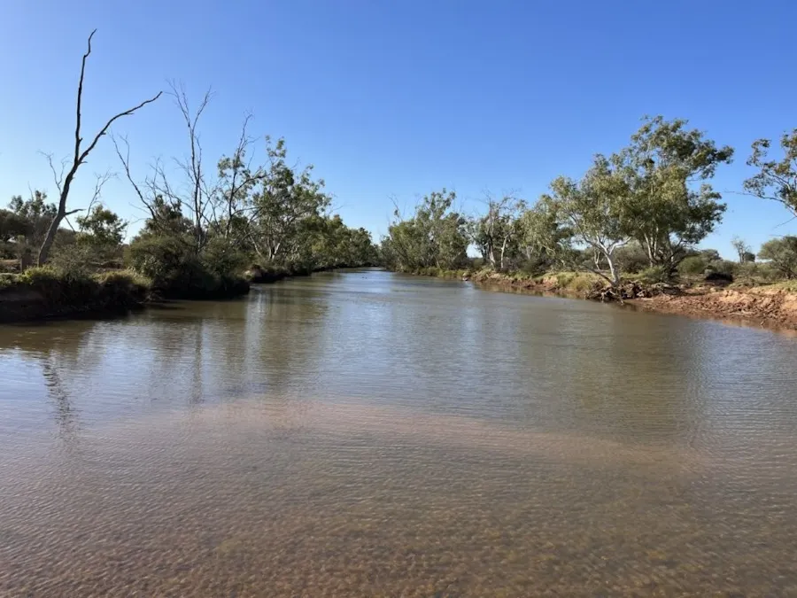 Wongawol , Wiluna, WA, 6646 - Image 34