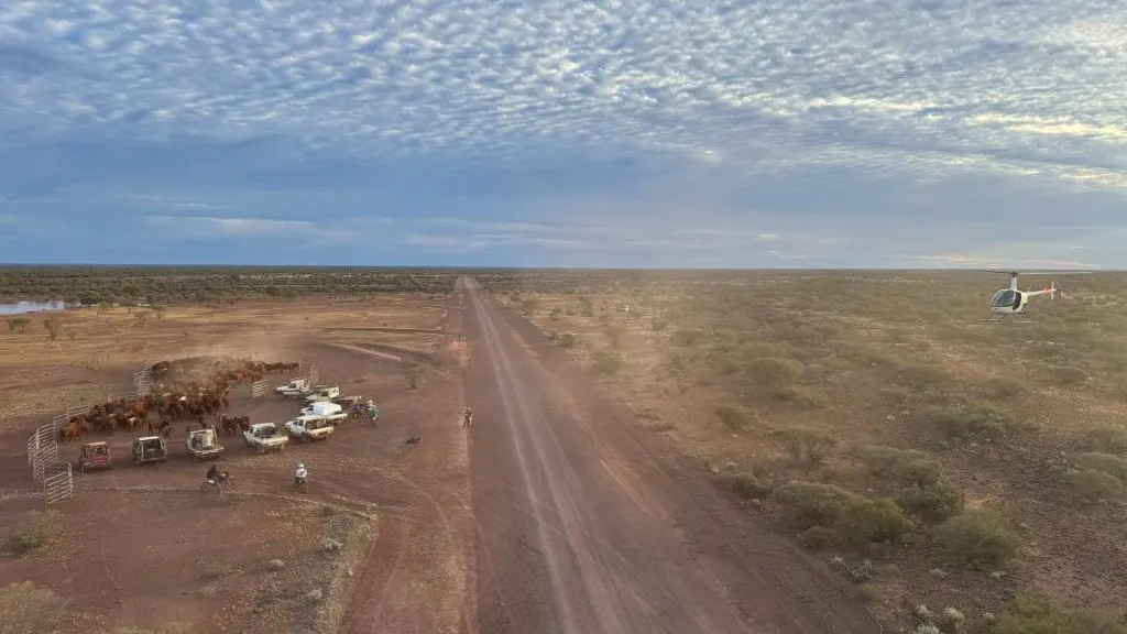 Wongawol , Wiluna, WA, 6646 - Image 35