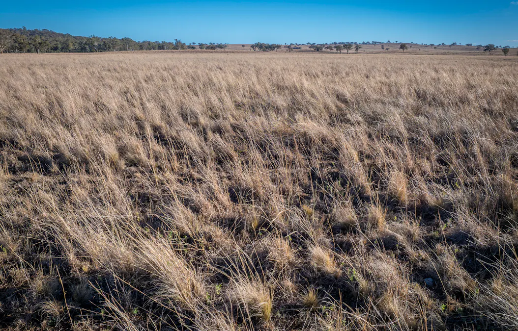 2403 Stanthorpe-Inglewood Road, Inglewood, QLD, 4387 - Image 8