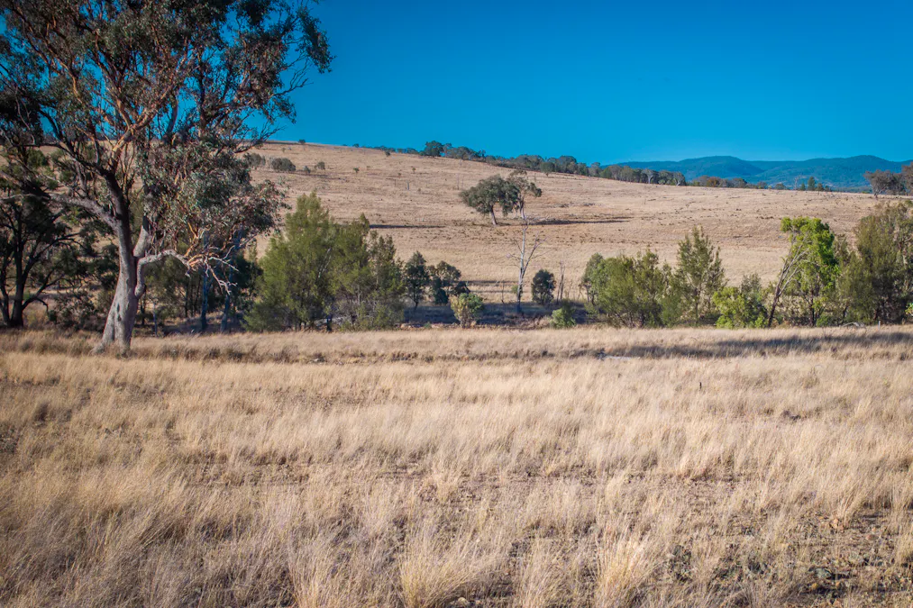 2403 Stanthorpe-Inglewood Road, Inglewood, QLD, 4387 - Image 1