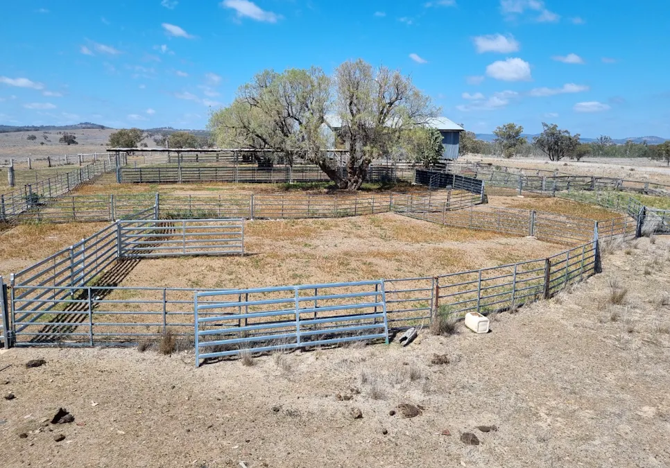 2403 Stanthorpe-Inglewood Road, Inglewood, QLD, 4387 - Image 21