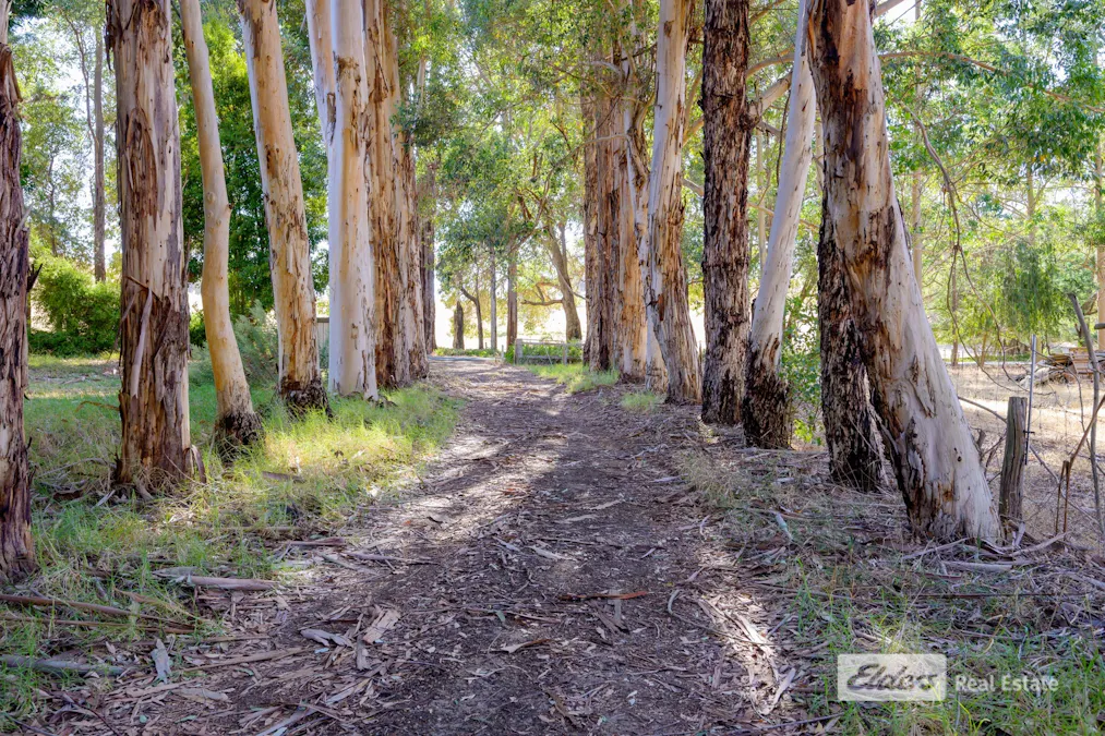 436 Brookhampton Road, Brookhampton, WA, 6239 - Image 23