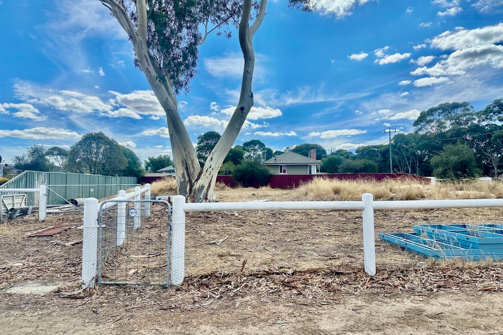 25 Round Drive, Katanning, WA, 6317 - Image 3