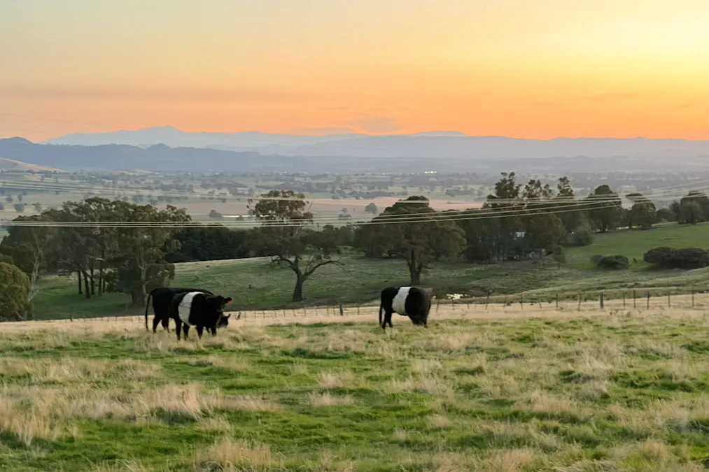 428 Tabletop Road, Bridge Creek, VIC, 3723 - Image 2