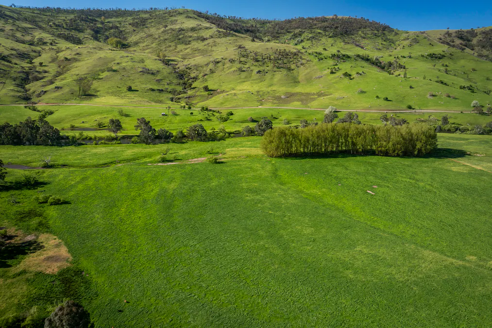 - Murray River Road, Pine Mountain, VIC, 3709 - Image 3