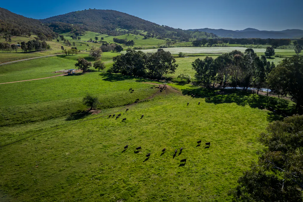 - Murray River Road, Pine Mountain, VIC, 3709 - Image 10