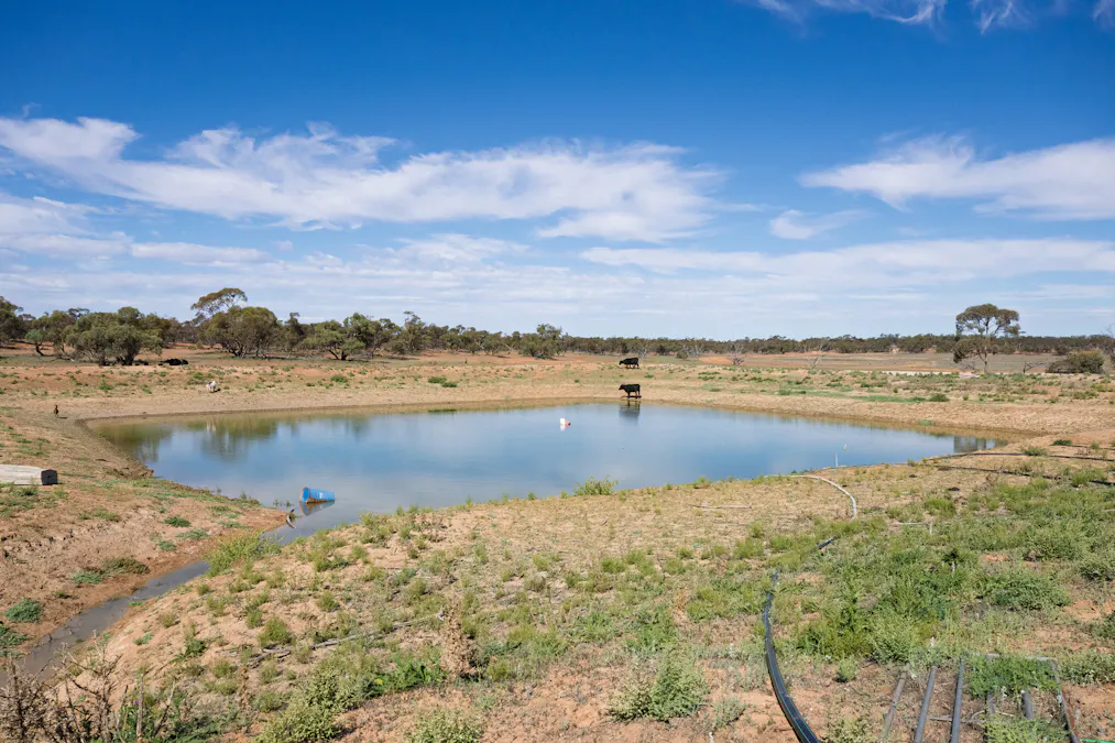 3725 Karpa Kora Road, Moorara, NSW, 2648 - Image 6